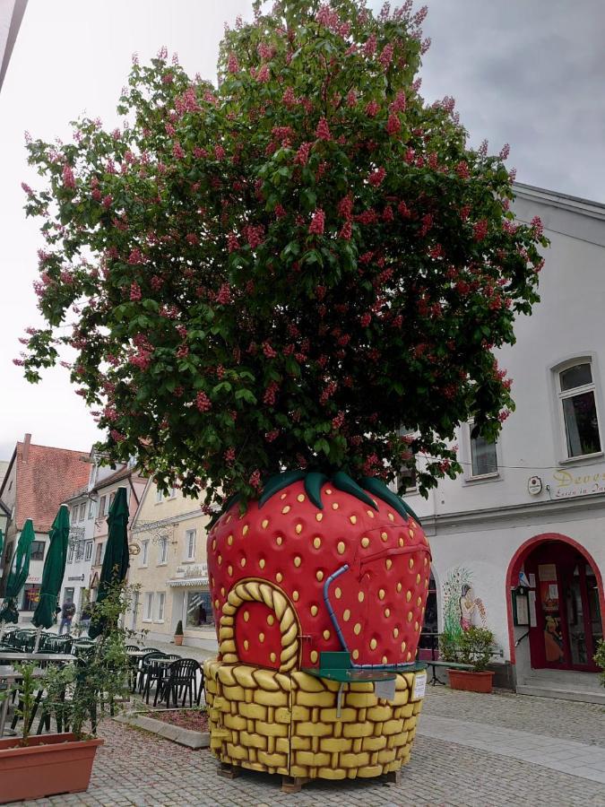 Ferienwohnungen Boegner Günzburg Exteriör bild